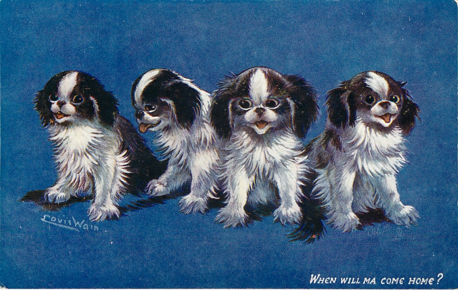 Postcards with Spaniels
